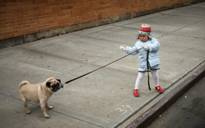 “Safety is about managing tensions between things.”
