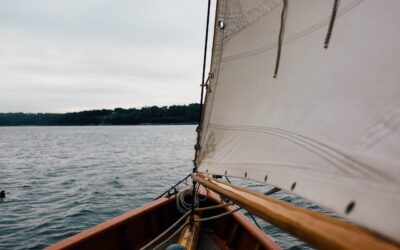 “The pessimist complains about the wind. The optimist expects it to change. The leader adjusts the sails.”