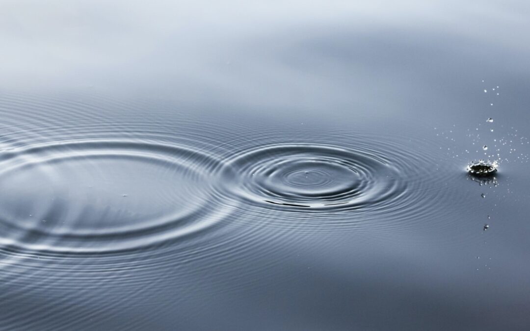 “I alone cannot change the world, but I can cast a stone across the water to create many ripples.”