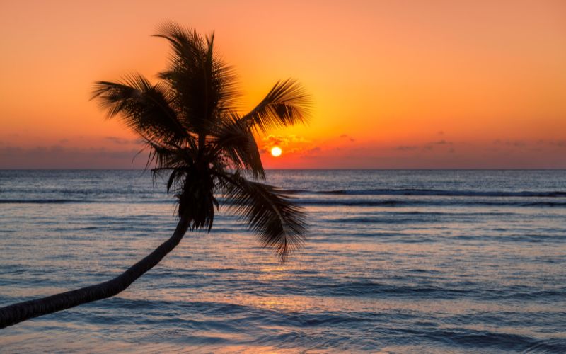 Boretti – Friday Quote 30