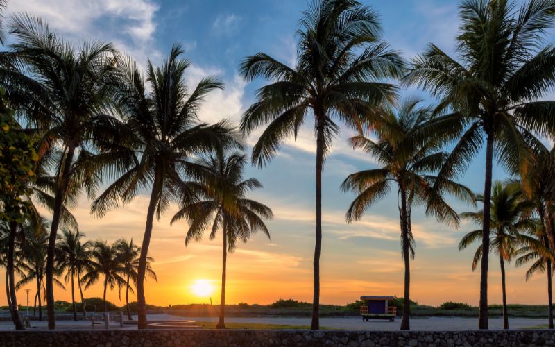 Boretti – Friday Quote 32