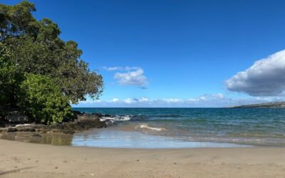 Move with the ocean rather than trying to freeze a single wave.