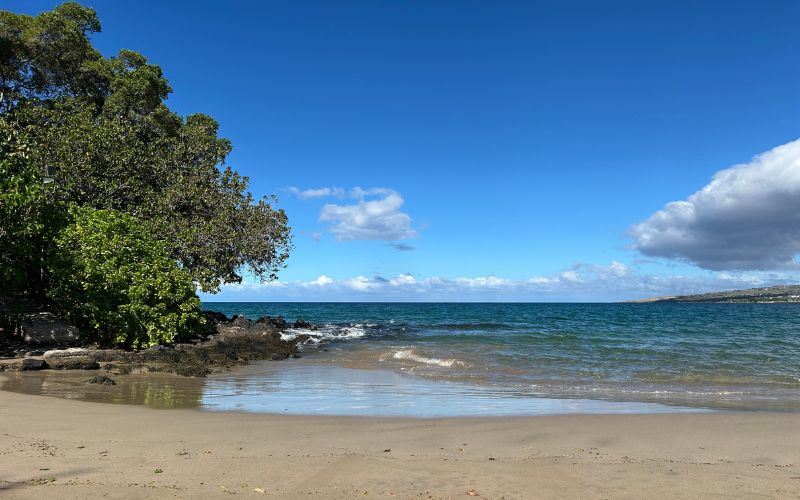 Move with the ocean rather than trying to freeze a single wave.