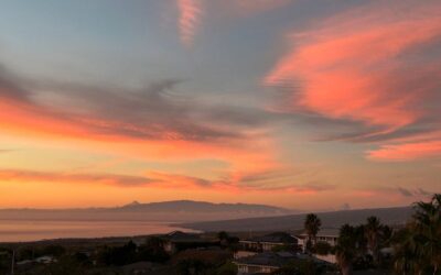 Don’t tell people how to do things; tell them what to do and let them surprise you with their results.