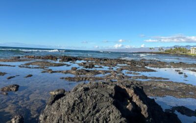 Before you are a leader, success is all about growing yourself. When you become a leader, success is all about growing others.