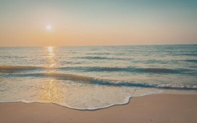 Vision without action is merely a dream. Action without vision is merely passing time. But vision with action can change the world.